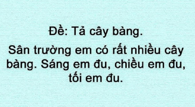 Tả cây bàng.