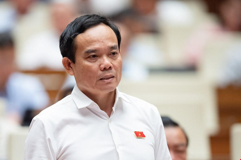 Phó Thủ tướng Trần Lưu Quang làm Trưởng Ban Chỉ đạo thực hiện sắp xếp đơn vị hành chính cấp huyện, cấp xã