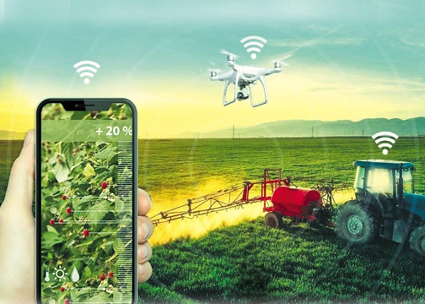 Khai thác và quản lý Hệ thống thông tin quốc gia về hợp tác xã