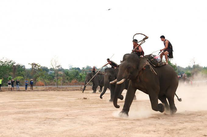 Huyện Bu&ocirc;n Đ&ocirc;n hiện l&agrave; nơi c&oacute; nhiều voi nh&agrave; nhất tỉnh Đắk Lắk v&agrave; cũng l&agrave; nơi c&oacute; truyền thống săn bắt, thuẩn dưỡng voi rừng từ xa xưa (trong ảnh, c&aacute;c n&agrave;i noi đang t&aacute;i hiện cảnh săn bắt voi rừng với c&aacute;c dụng cụ truyền thống)