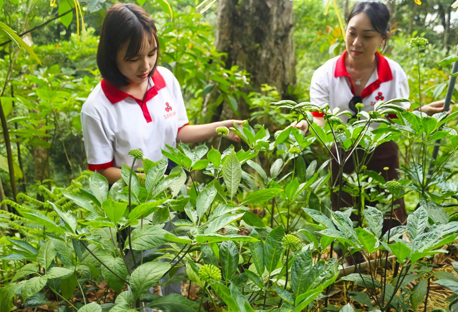 Nguonanh_baovemoitruong.org.vn
