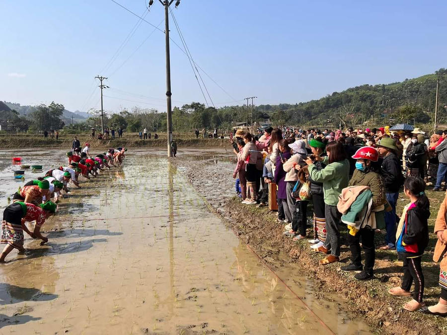 FB_IMG_1674993223921