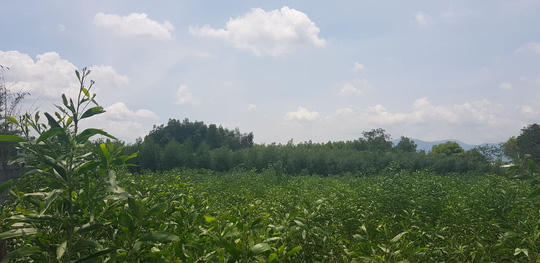 Khu vực được gọi là