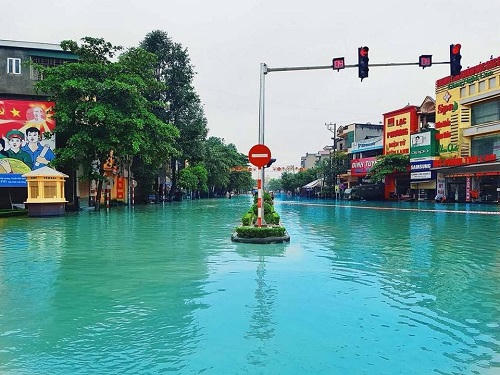Venice phiên bản Việt Nam.