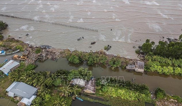 Tăng trưởng tín dụng xanh thúc đẩy Đồng bằng sông Cửu Long phát triển bền vững