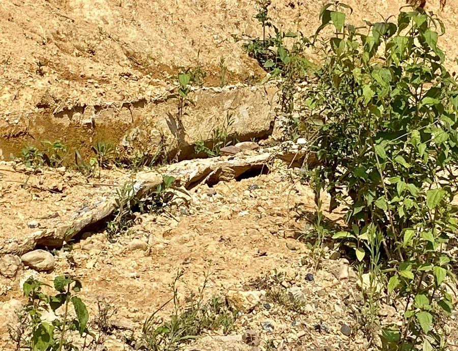 z4368679672634_f76aa221038fedb6d51bfaa7c047113d