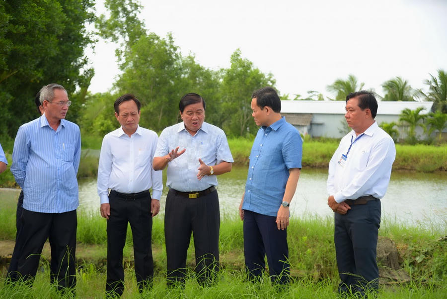 Ông Trần Lưu Quang - Bí thư TW Đảng, Trưởng Ban Chính sách, Chiến lược Trung ương (thứ hai bên phải sang) cùng lãnh đạo tỉnh Bạc Liêu, thăm mô hình trồng lúa - nuôi tôm tại xã Phong Thạnh A, thị xã Giá Rai (ông Đỗ Minh Thắng - Chủ tịch UBND thị xã Giá Rai, tỉnh Bạc Liêu, người đưa tay).
