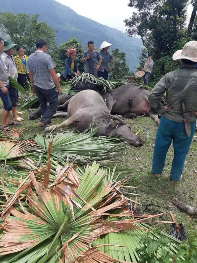 69448000_930212064010396_880353121836990464_n