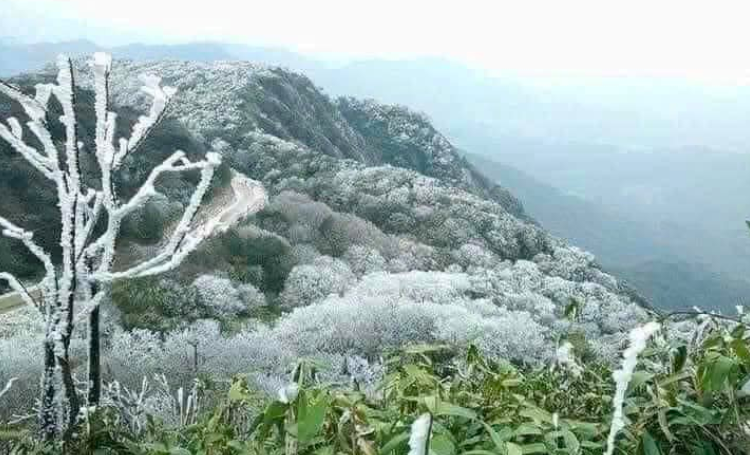 Nhiệt độ nhiều nơi khu vực phía Bắc giảm sâu có nới dưới 3 độ C hình thành băng tuyết. Hình ảnh mang tính chất minh hoạ.