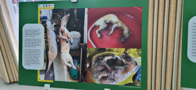 IMG_20221021_090812