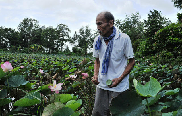 Đại t&aacute; phi c&ocirc;ng anh h&ugrave;ng nay vui vầy b&ecirc;n đồng ruộng...