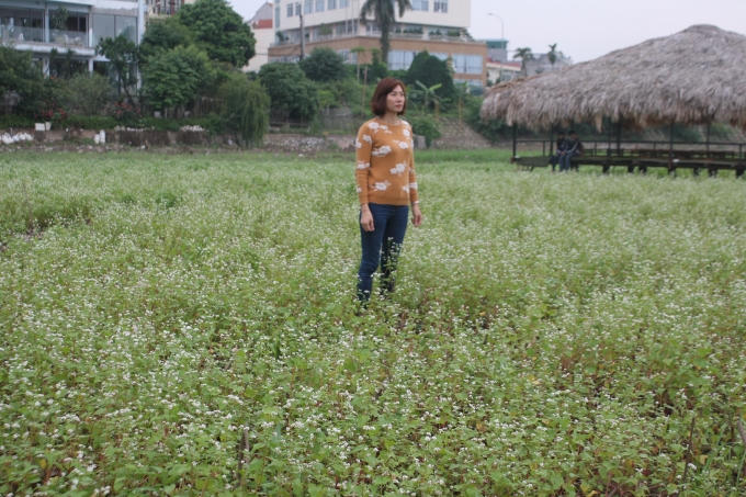 "Hiên ngang" tạo dáng trong vườn hoa