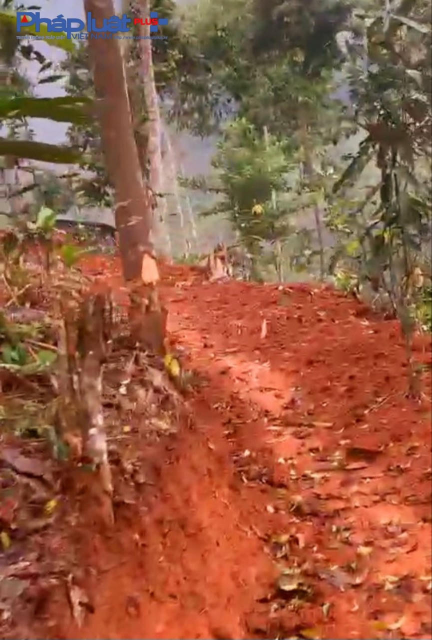 z3900310333702_33c14da0b174cf632d5d482022f9a067-0832