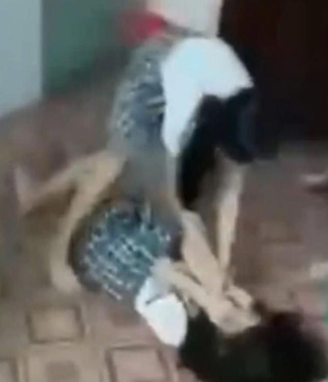 \"bạo