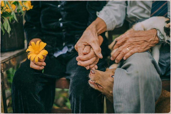 Anh232.