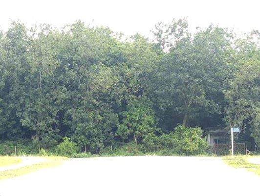 Khu đất sai phạm nhìn từ khu công nghiệp vào.