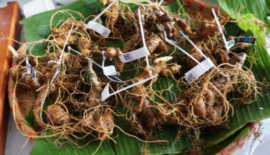 Screenshot_20230123-115934_Zalo