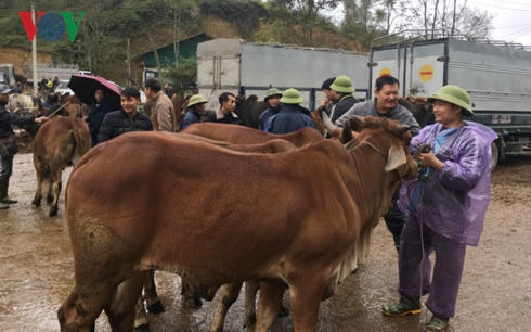 Người mua và người bán vui vẻ ngã giá.