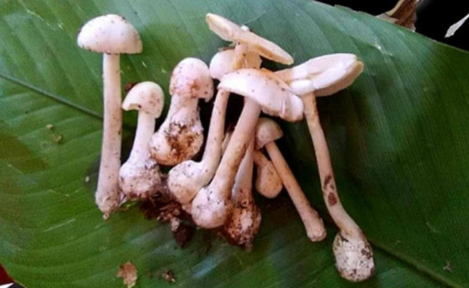 Screenshot_20210303_204938