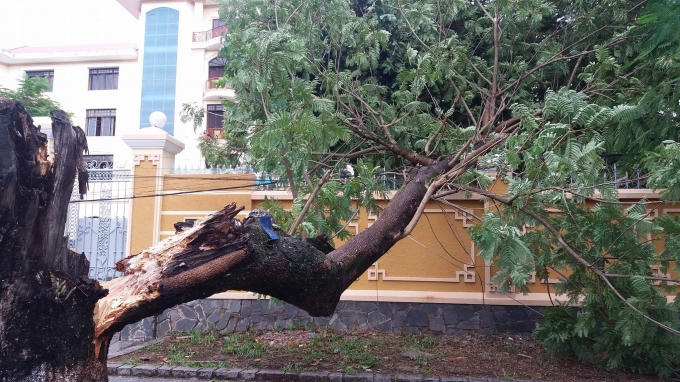Do ảnh hưởng của bão số 4 nên rạng sáng 13/9 trên địa bàn tỉnh Thừa Thiên - Huế mưa to, gió lớn.
