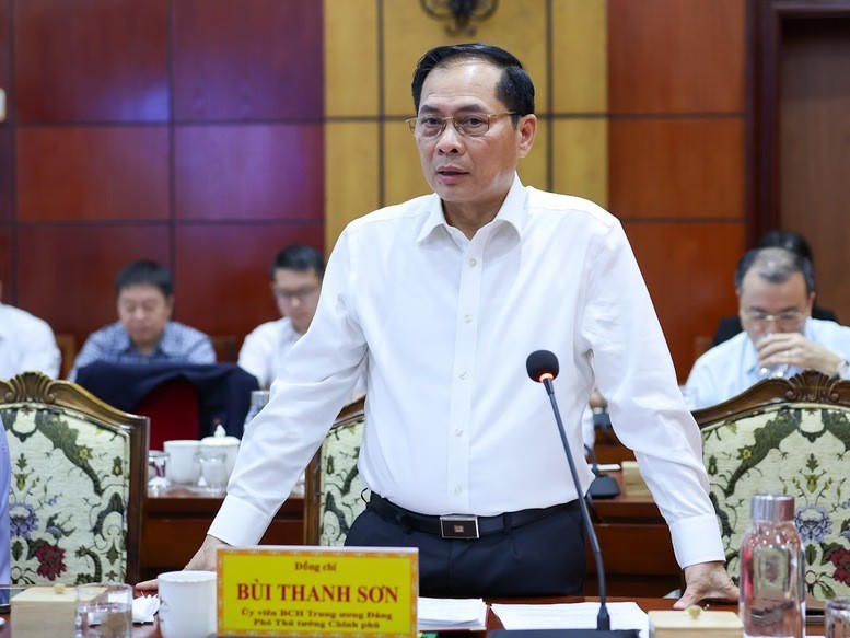 Phó Thủ tướng Bùi Thanh Sơn phát biểu tại buổi làm việc.