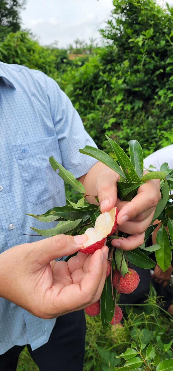 290792175_355170670079755_7132879042884895347_n