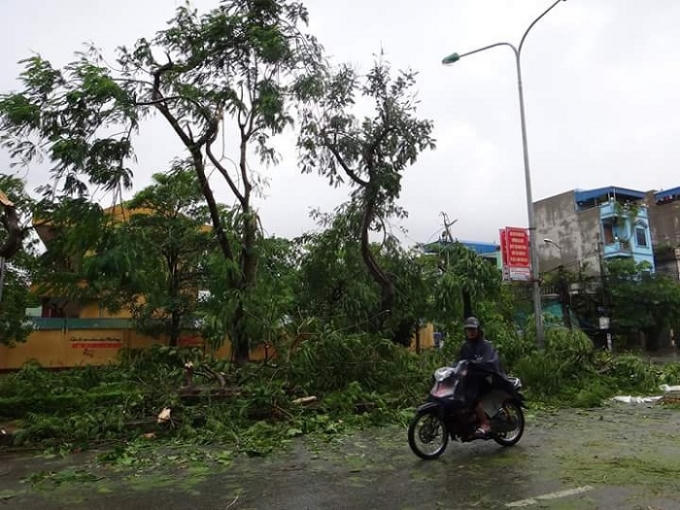 Ảnh: Duy T&aacute;m.