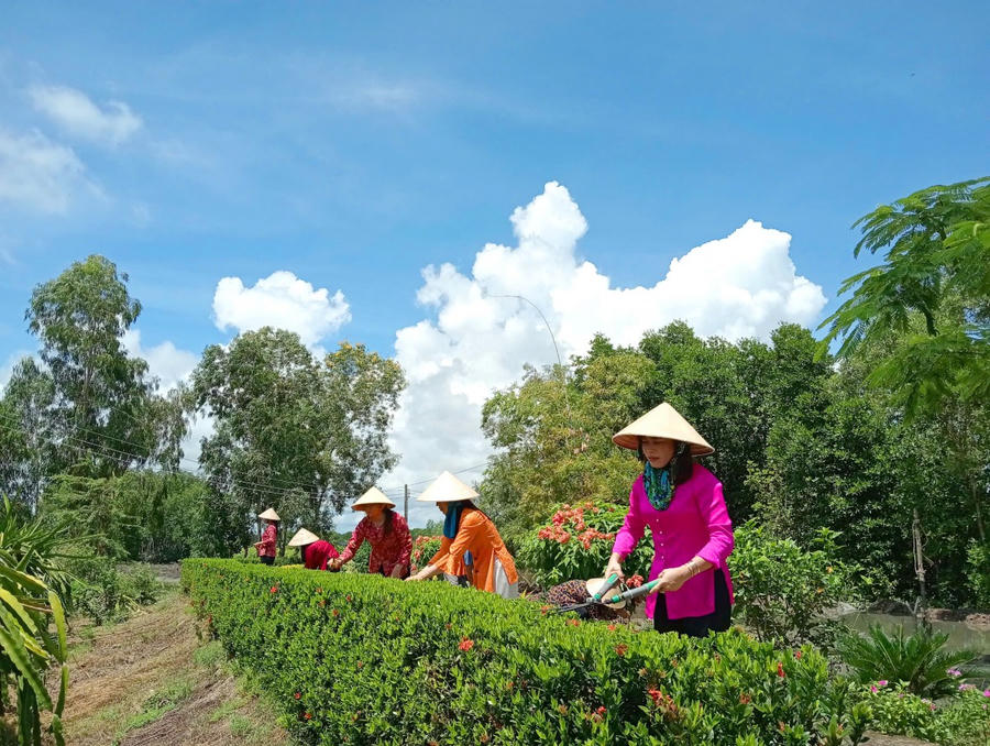 Phụ nữ xã Tam Giang Tây chăm sóc hàng rào cây xanh tạo cảnh quan môi trường ngày thêm khởi sắc.