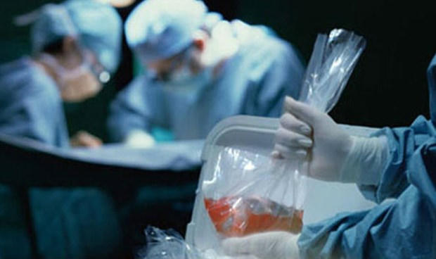 Ảnh minh họa. Nguồn Internet