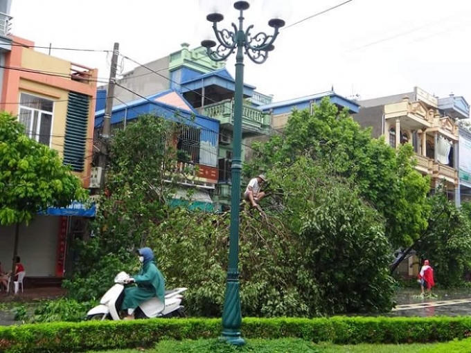 Người dân dọn dẹp khắc phục hậu quả sau bão. Ảnh: Duy Tám.