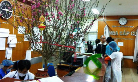 truc-tet-16437721065431008785392-0-17-360-593-crop-1643772118610634335160.