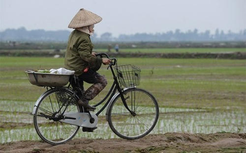Lãnh đạo Chính phủ lưu ý, tích tụ ruộng đất nhưng không làm nghèo người dân, không để người dân mất việc làm, nghèo đói.