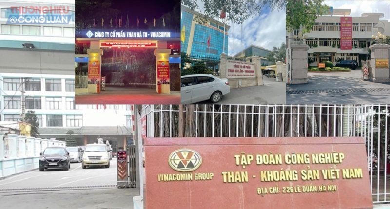 Hội đồng thành viên TKV xem xét quyết định theo thẩm quyền việc sáp nhập các công ty con vào Công ty mẹ - TKV .
