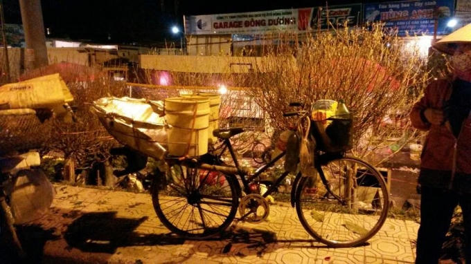 Chợ hoa Quảng An đã trở thành một nét văn hóa của người Hà Nội.