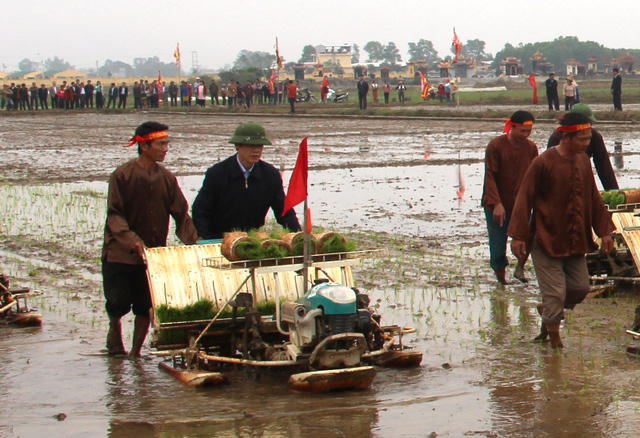 Ông Nguyễn Đình Xứng - Chủ tịch UBND tỉnh Thanh Hóa xắn quần lội ruộng cấy lúa.