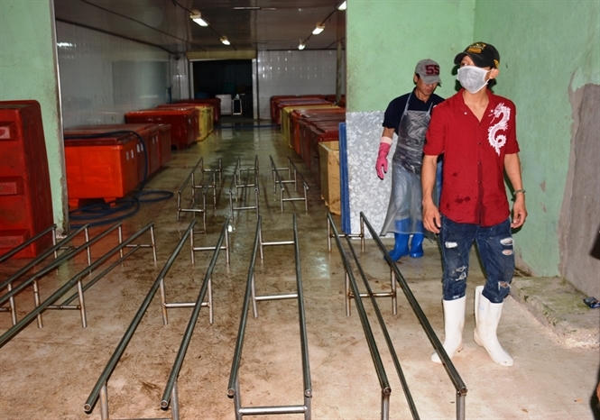 Bắt quả tang lượng lớn t&ocirc;m đang bơm tạp chất tại C&ocirc;ng ty Quốc &Aacute;i