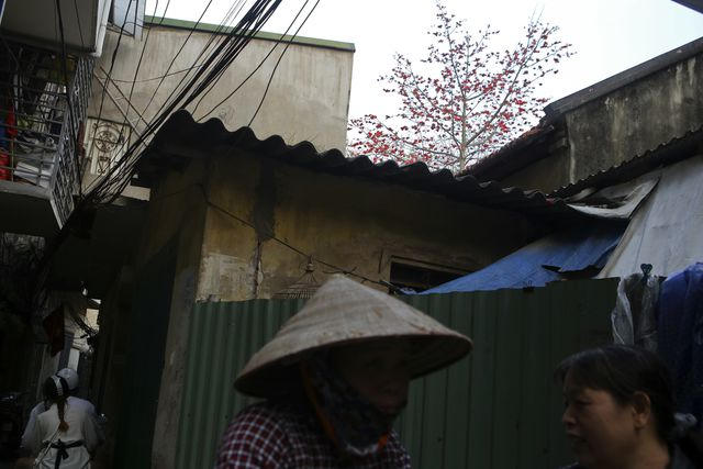 Thấp thoáng trong những con ngõ nhỏ.