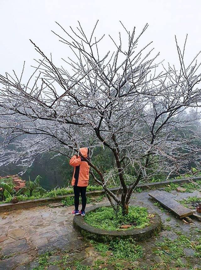 Du khách trong những trang phục ấm áp tỏ ra thích thú với vẻ đẹp do băng giá mang lại. Ảnh: Lê Văn Thịnh