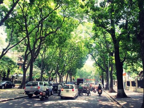 Bắc Bộ nắng ấm trở lại. Ảnh: minh họa/TTXVN