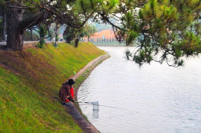 Ví dụ như: hồ Xuân Hương, hồ Tuyền Lâm,... (Ảnh: Cao Anh Tuấn)