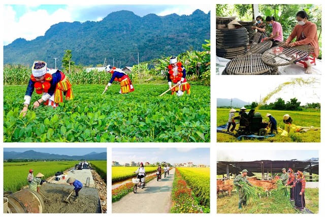 Thành lập Ban Chỉ đạo Trung ương các chương trình mục tiêu quốc gia giai đoạn 2021 - 2025.