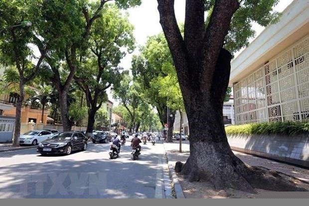 Bac Bo dau tuan toi nang nong dien rong, giua tuan troi chuyen mat hinh anh 1