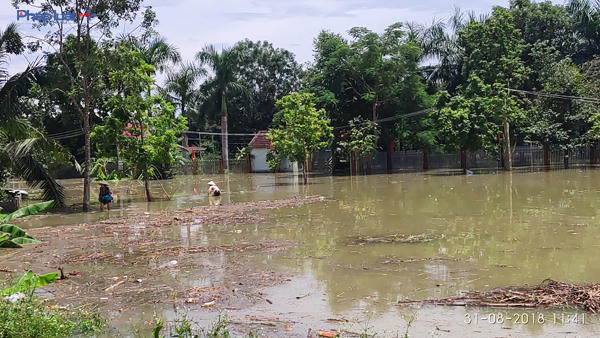 Theo thống kê, đã có 11.791 căn nhà bị ngập chìm trong nước lũ. (Ảnh: A.T)