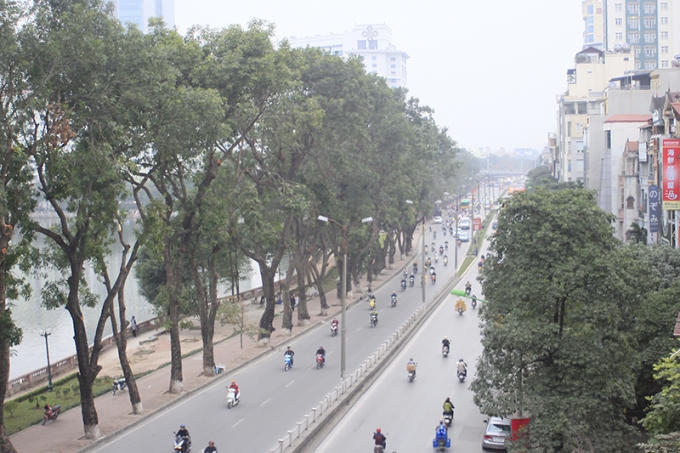 Sáng 12/1, Ban quản lý dự án đường sắt đô thị Hà Nội đã chính thức công bố phương án đánh chuyển và chặt hạ cây xanh phục vụ thi công hai nhà ga trên tuyến đường Cầu Giấy, Xuân Thủy của tuyến tàu điện Metro Nhổn - Ga Hà Nội.