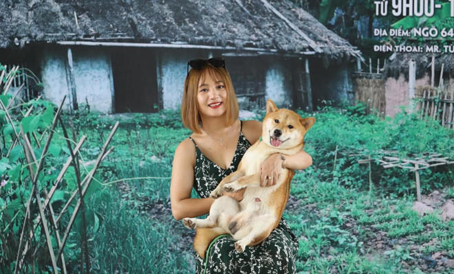 Việc đoàn làm phim chọn chú chó Nhật Bản thuần chủng vào phim Cậu Vàng đã gây ra tranh cãi trái chiều.