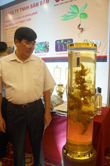 Choáng với 2 bình sâm Ngọc Linh quý giá hơn 15 cây vàng ở xứ Quảng