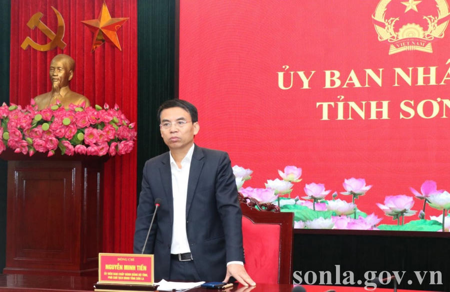Phó Chủ tịch UBND tỉnh phát biểu tại cuộc họp.