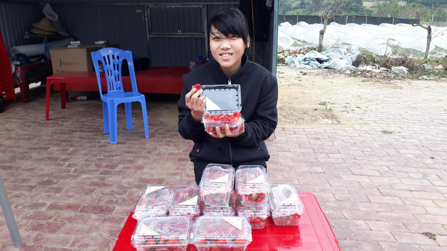 Sản lượng chỉ đủ để bán cho khách qua đường và bà con địa phương .
