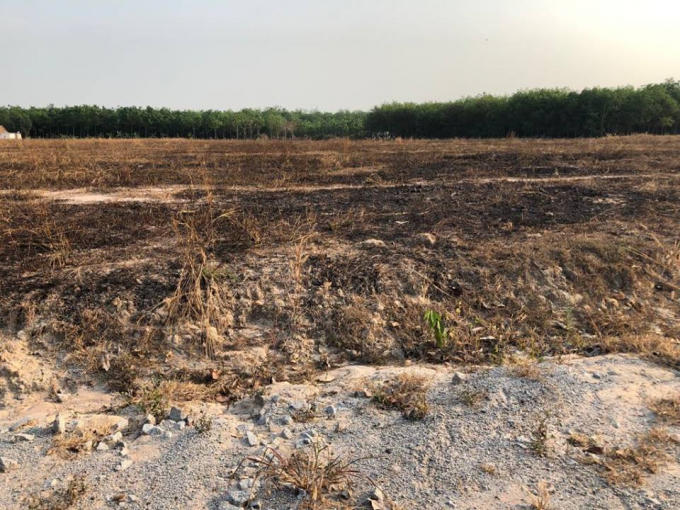 Dự án Thành Phát City 1 chỉ là bãi đất trống, chưa có dấu hiệu xây dựng.