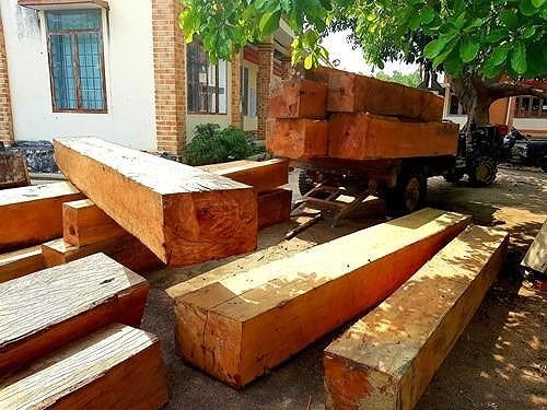 Gỗ rừng tại tiểu khu 702 bị lâm tặc chặt hạ tạm giữ tại UBND xã Cư Bông.